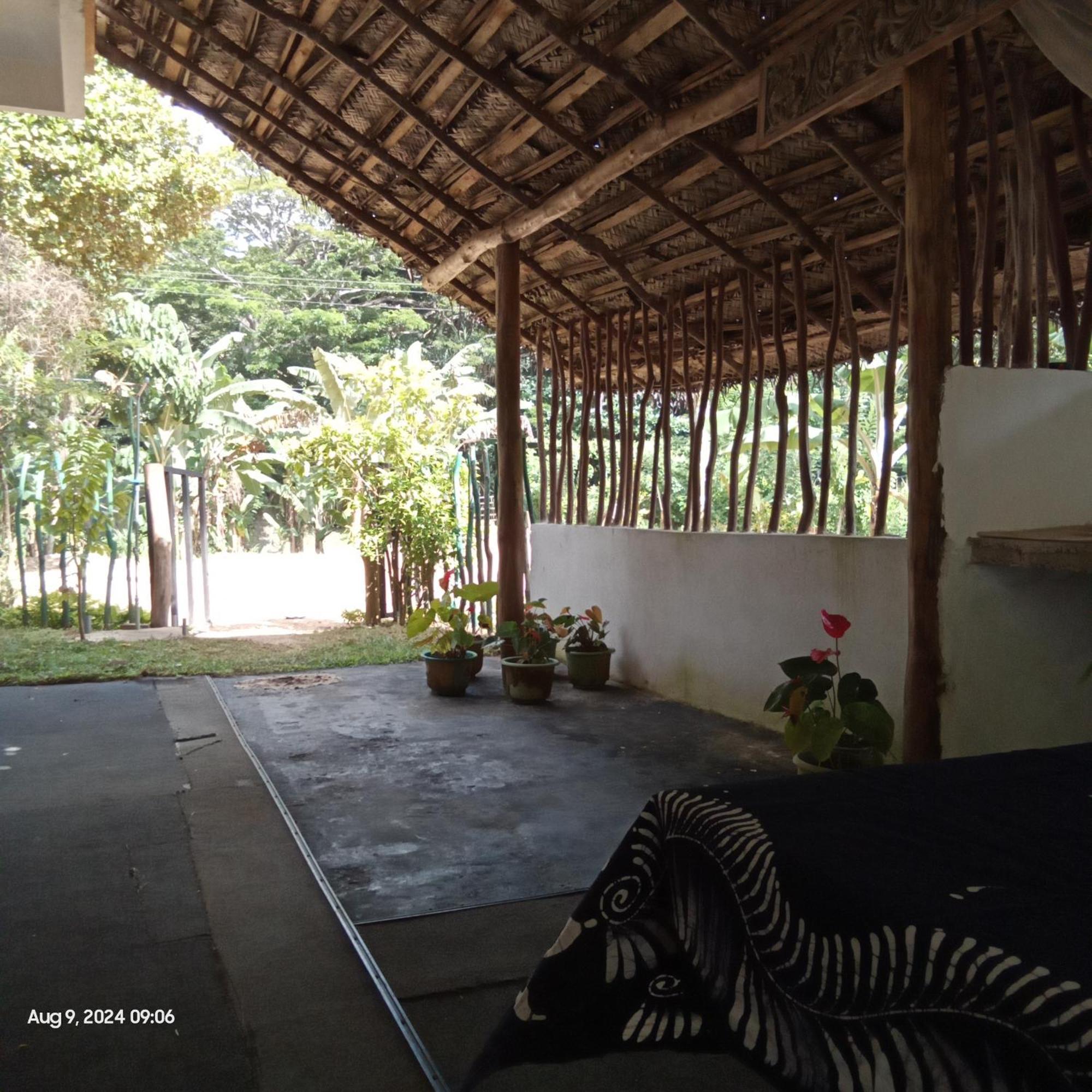 Dillenia Canopy Mirissa Exterior photo